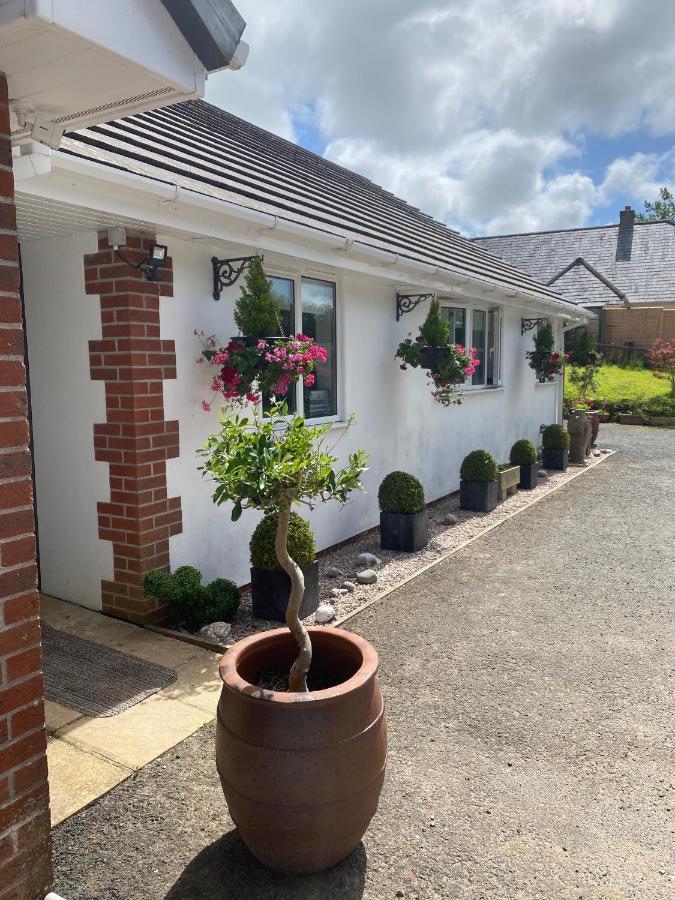 Toppesfield House B&B Bude Luaran gambar