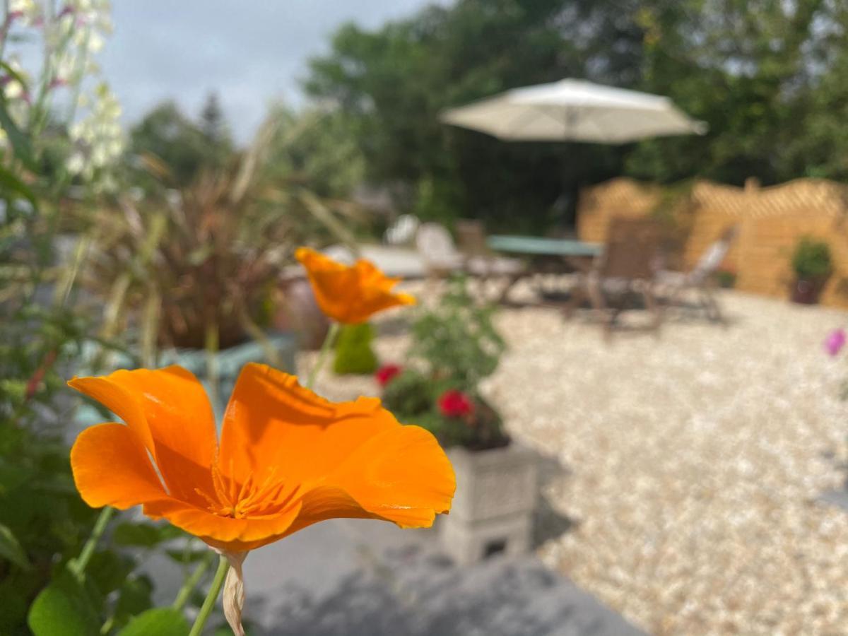 Toppesfield House B&B Bude Luaran gambar
