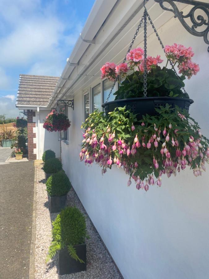 Toppesfield House B&B Bude Luaran gambar